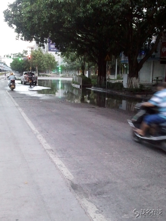 WP_004822.jpg