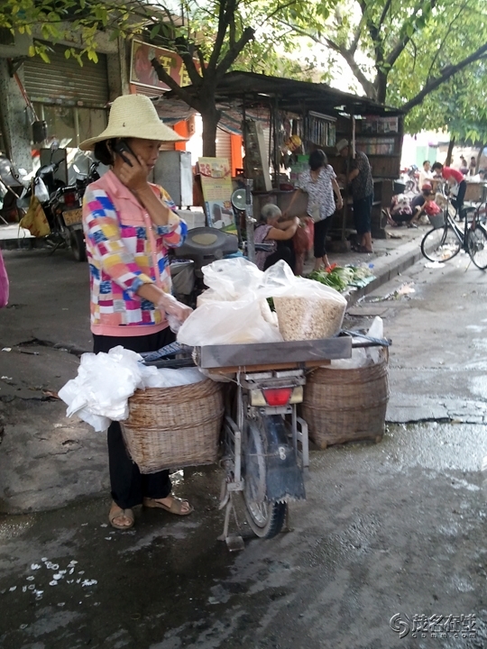 WP_004706.jpg