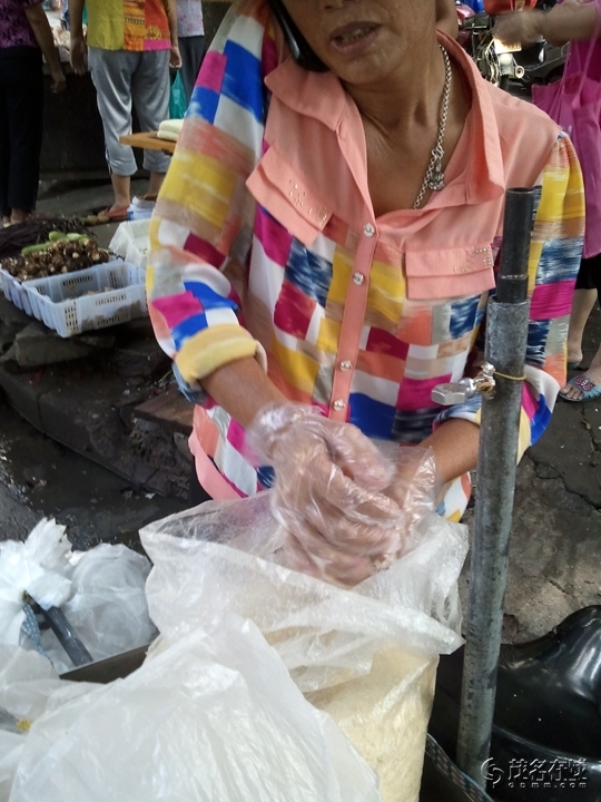 WP_004708.jpg