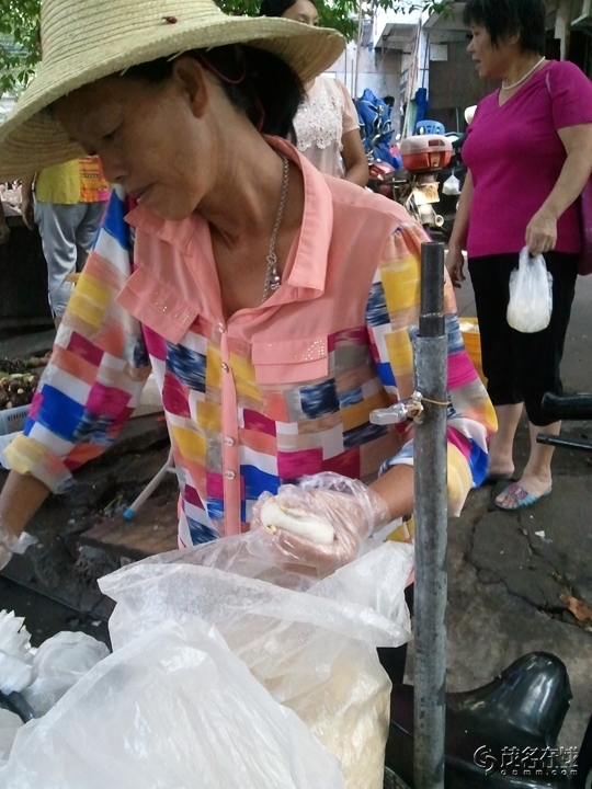WP_004709.jpg