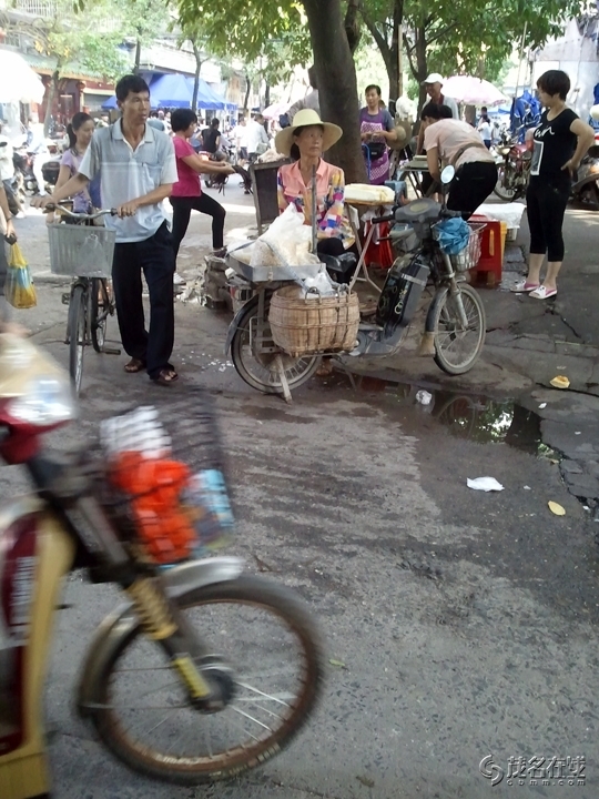 WP_004728.jpg