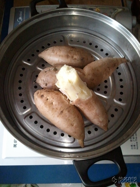 WP_004263.jpg
