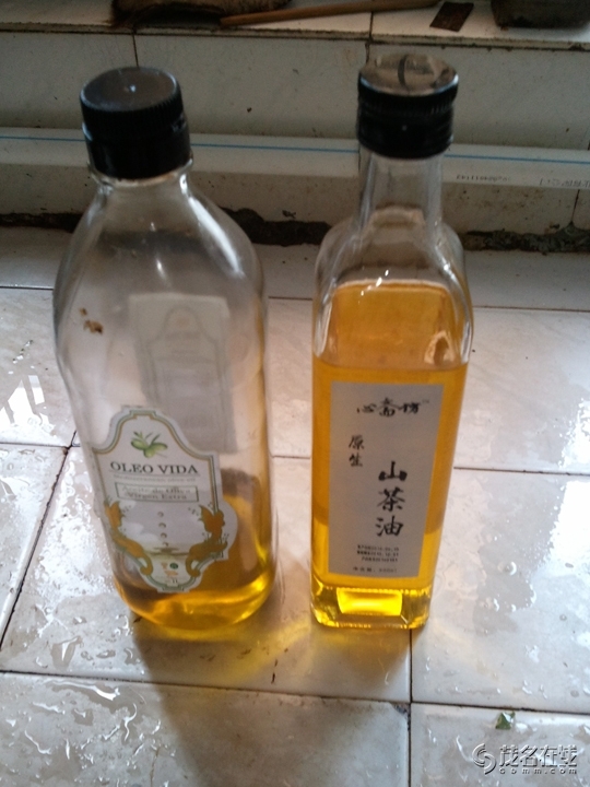 WP_004276.jpg