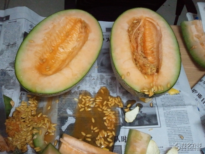 WP_004918.jpg