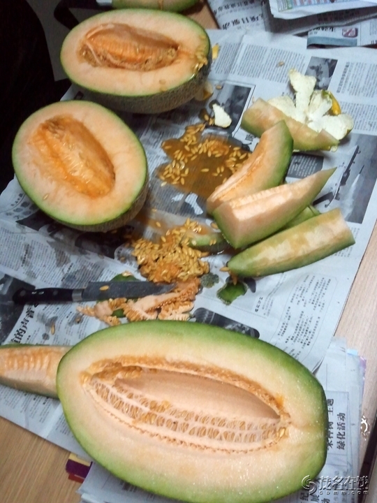 WP_004916.jpg