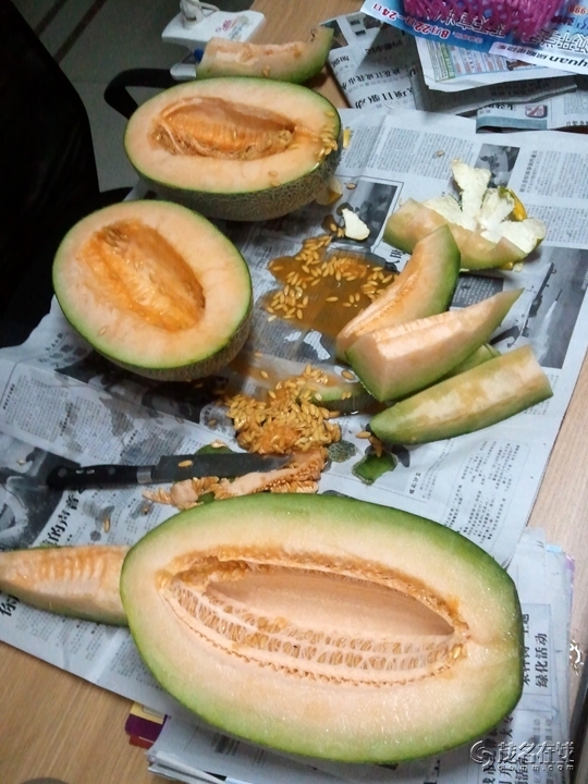 WP_004917.jpg