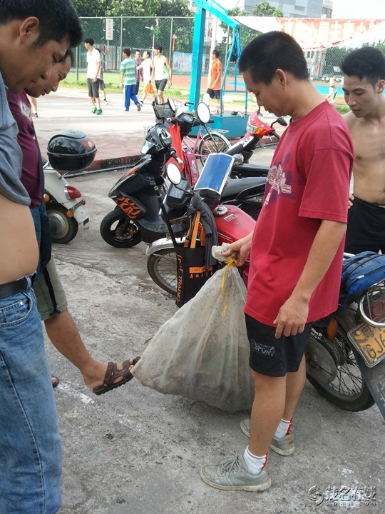 WP_005106.jpg