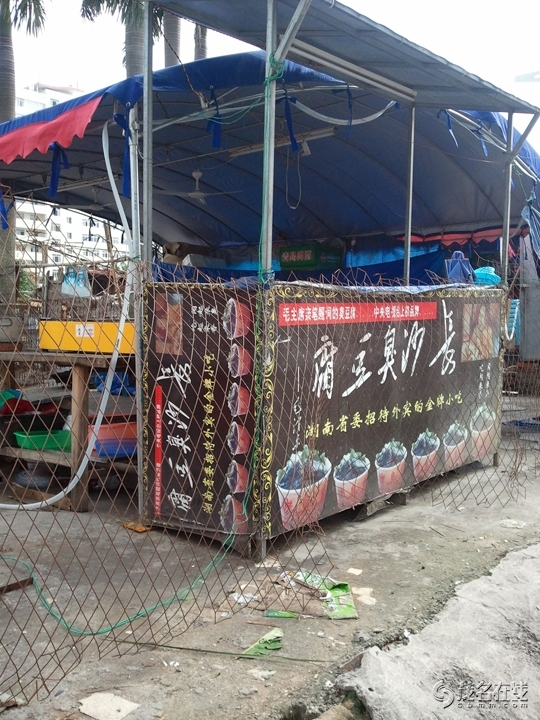 WP_005122.jpg