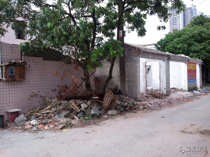 WP_005137.jpg