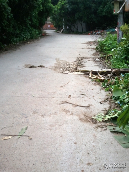 WP_005143.jpg
