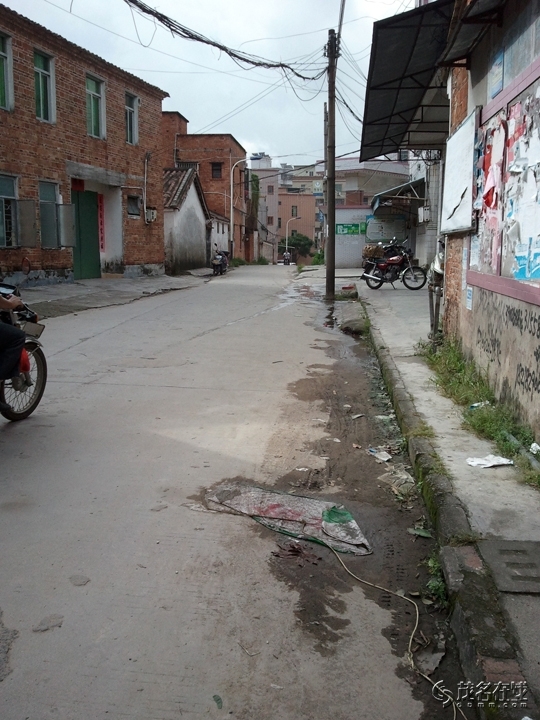 WP_005148.jpg