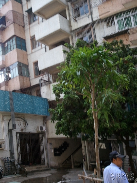 WP_005222.jpg