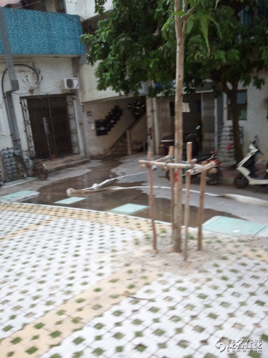 WP_005224.jpg
