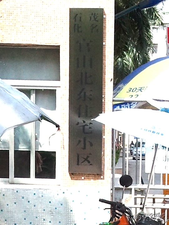 WP_005236.jpg