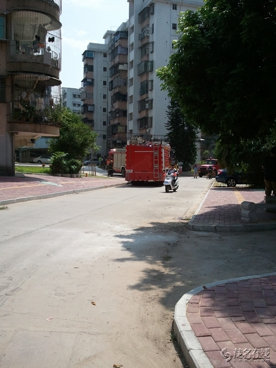 WP_005235.jpg