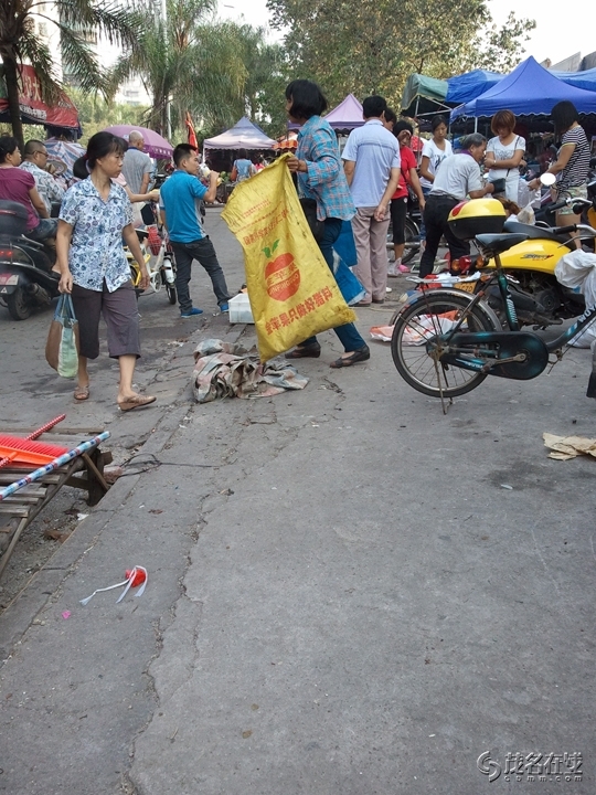WP_005252.jpg
