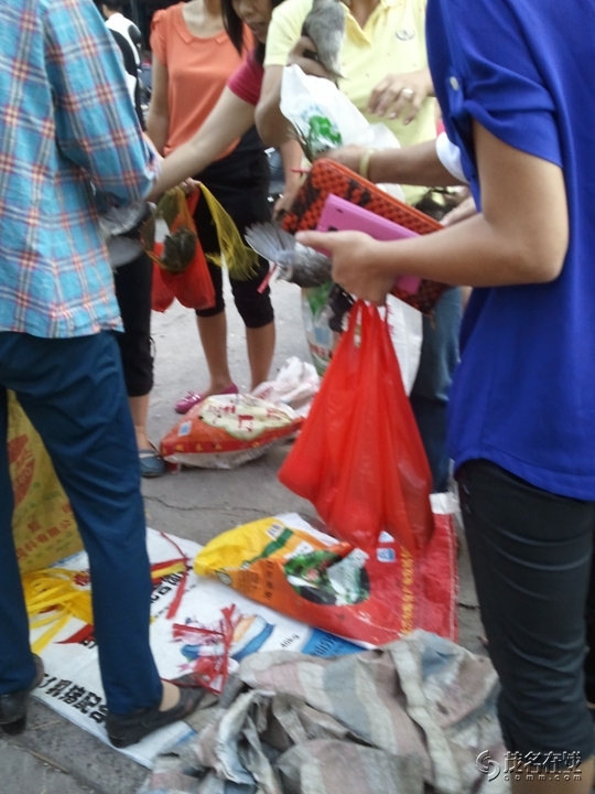 WP_005241.jpg
