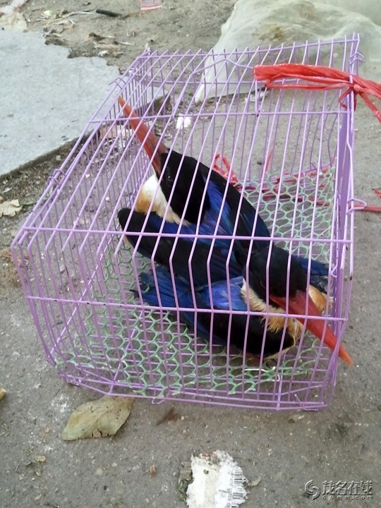 WP_005293.jpg