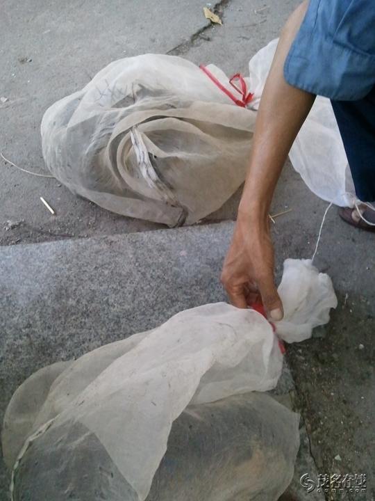 WP_005294.jpg