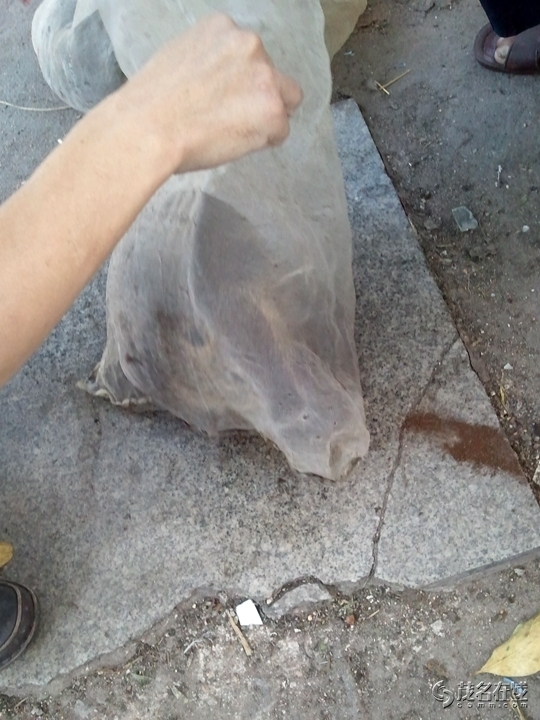 WP_005295.jpg