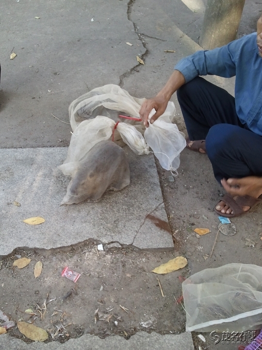 WP_005299.jpg
