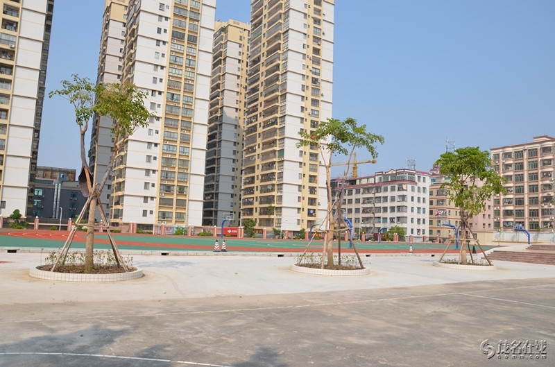 美丽的茂名市第十五中学南校区