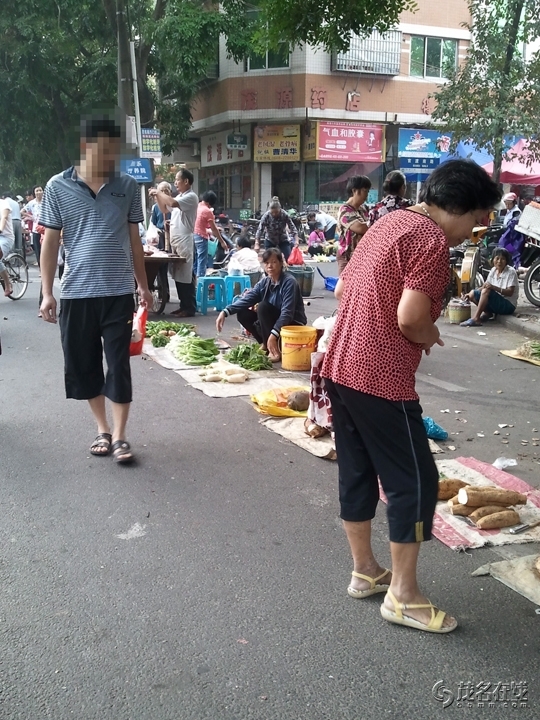 WP_005522.jpg