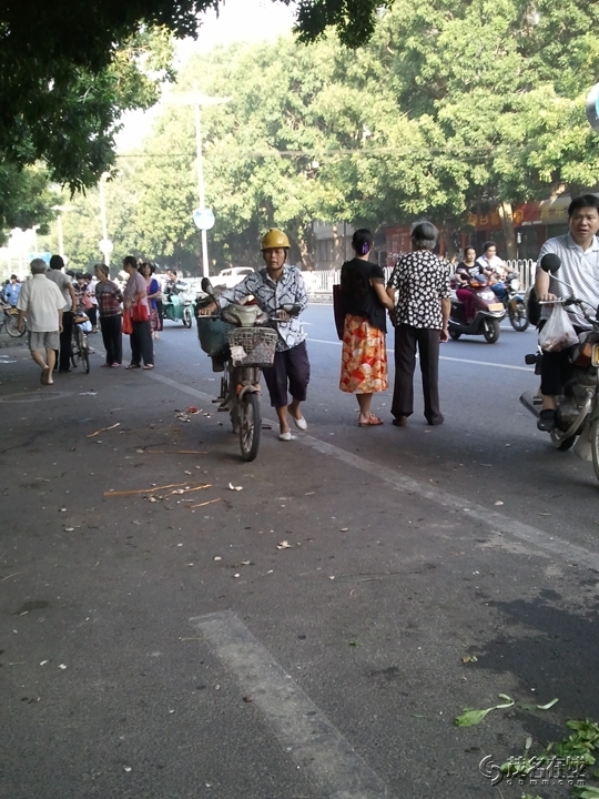 WP_005548.jpg