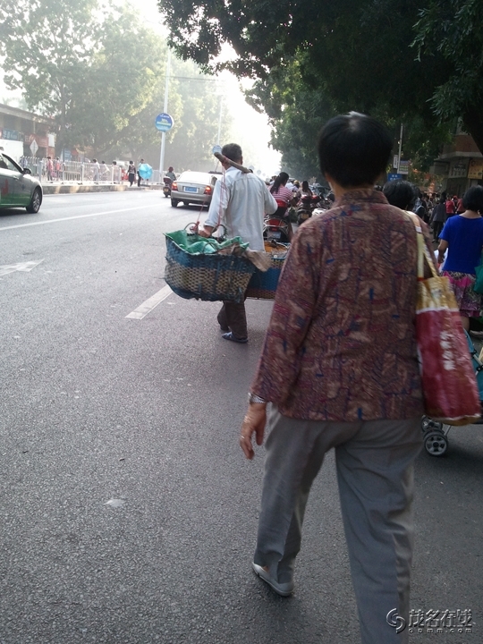 WP_005543.jpg