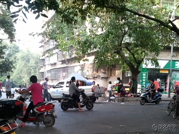WP_005531.jpg