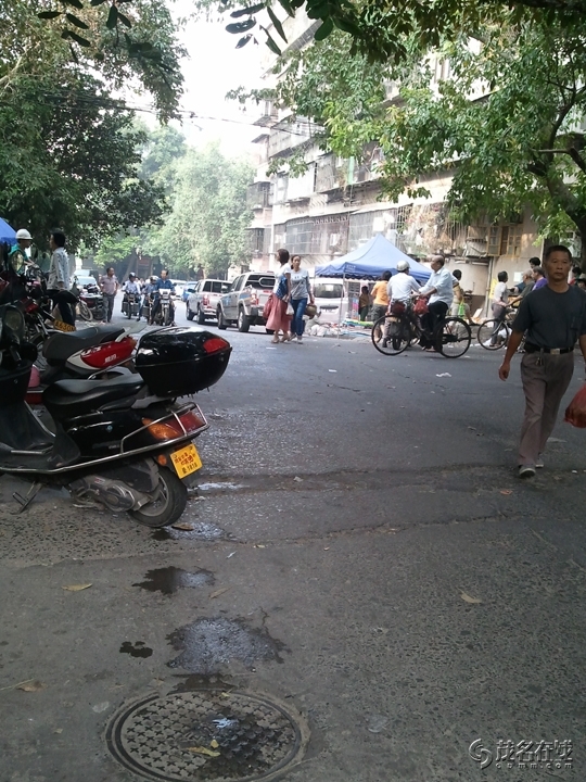 WP_005528.jpg