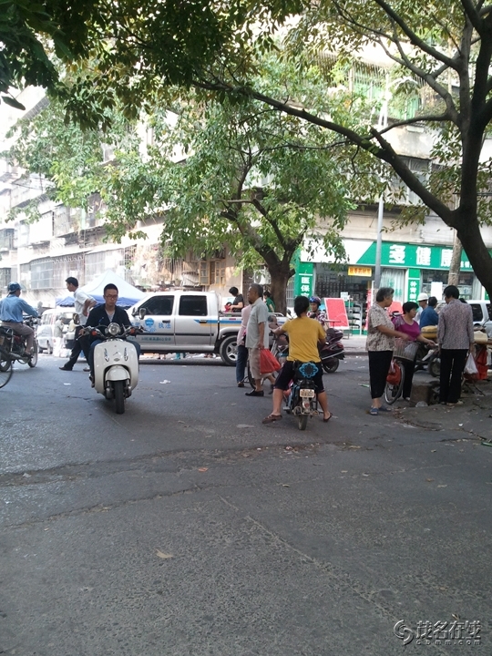 WP_005529.jpg