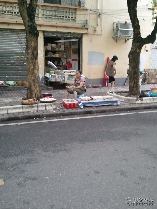 WP_004549.jpg