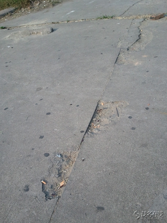 WP_005628.jpg