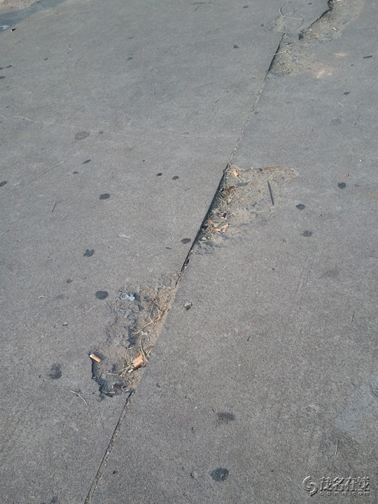 WP_005629.jpg