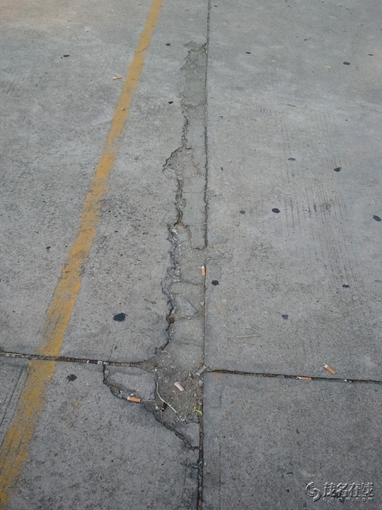 WP_005630.jpg