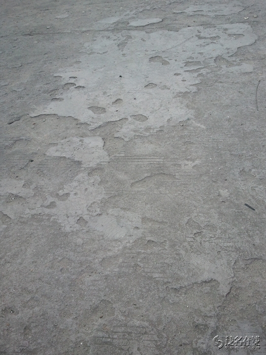 WP_005638.jpg