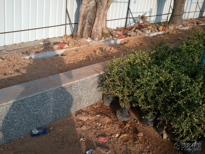 WP_005723.jpg