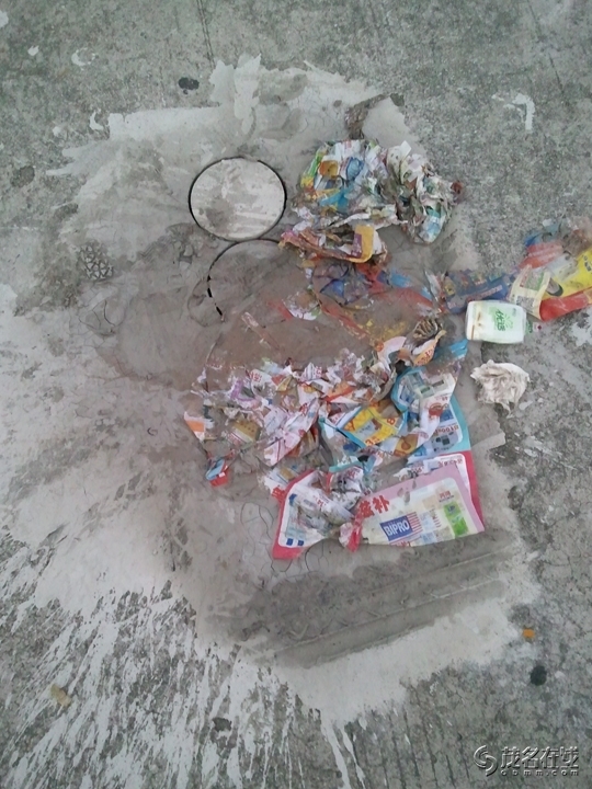WP_005731.jpg