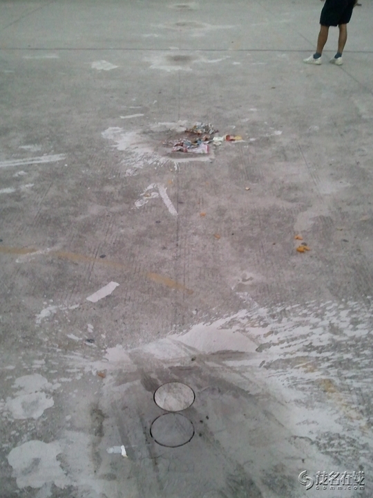 WP_005729.jpg