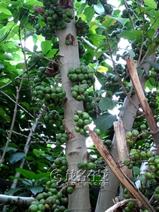 WP_005805.jpg