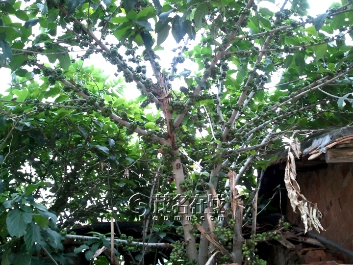 WP_005803.jpg