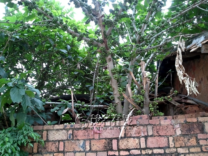 WP_005804.jpg