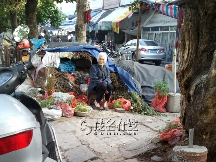 WP_005835.jpg