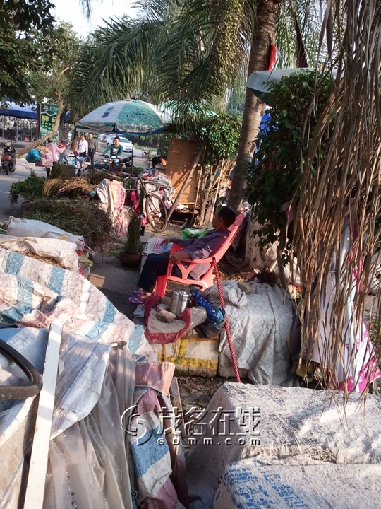 WP_005839.jpg