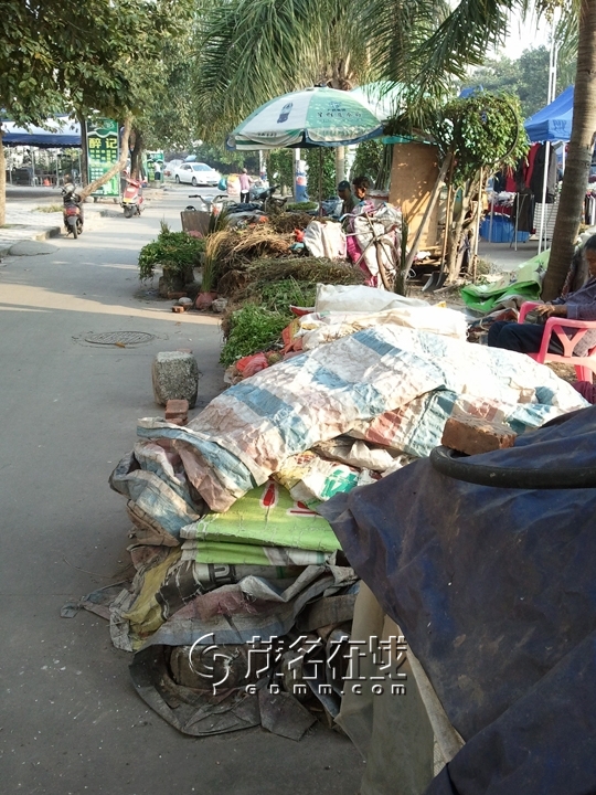 WP_005840.jpg