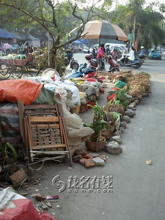 WP_005842.jpg