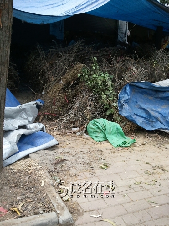 WP_005908.jpg
