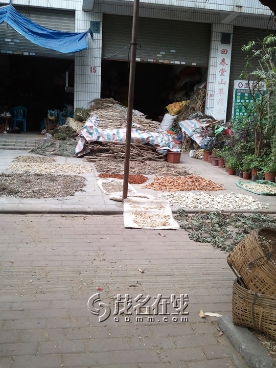 WP_005911.jpg