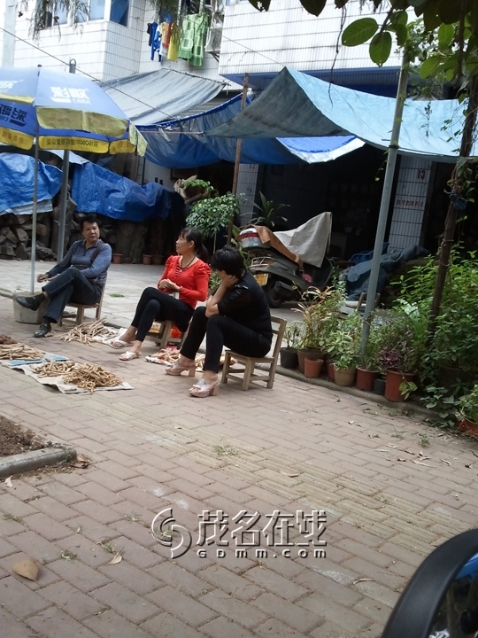 WP_005912.jpg